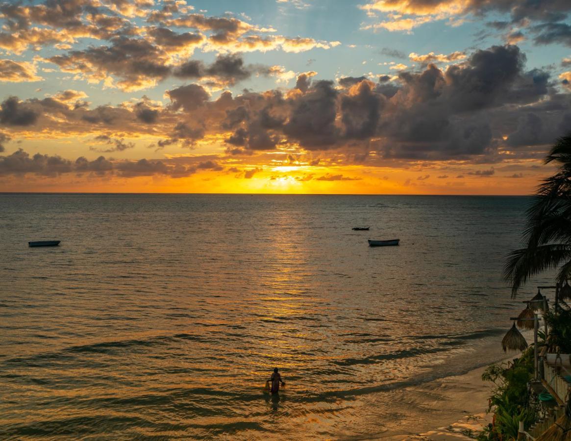 Coral Rocks & Restaurant Hotel 3*